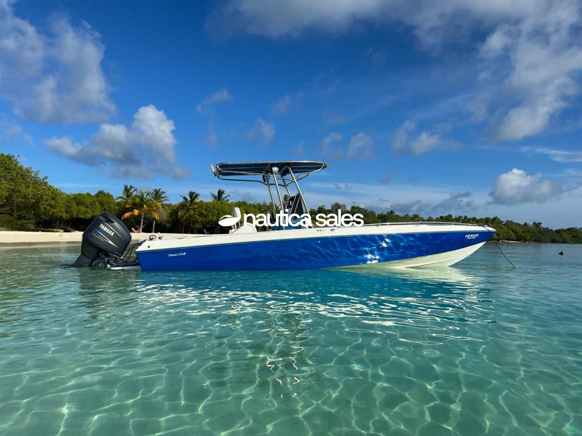 Lancha en venta: Master´s Will