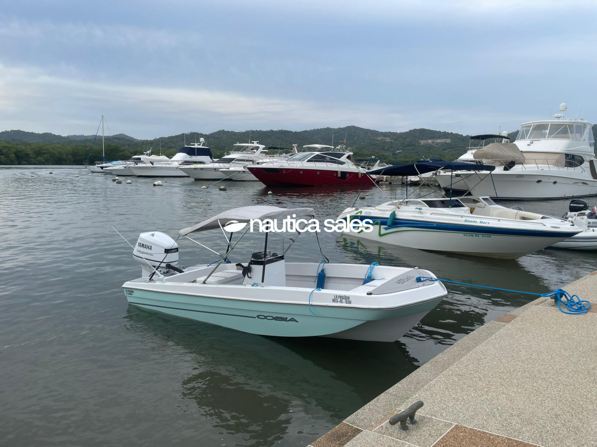 Boat for sale: La Pingüina