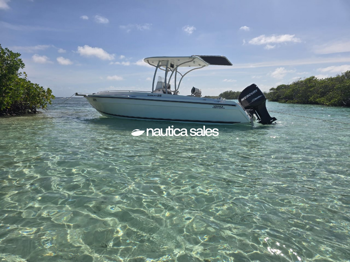 Lancha en venta: Vodka