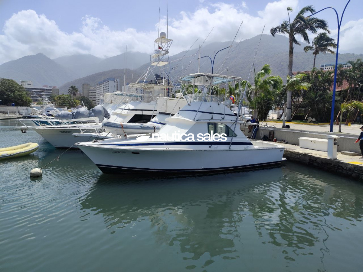 Lancha en venta: Albacora