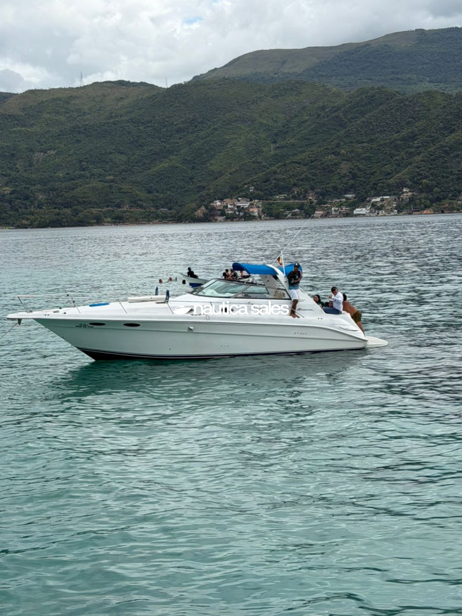 Lancha en venta: Ni Idea