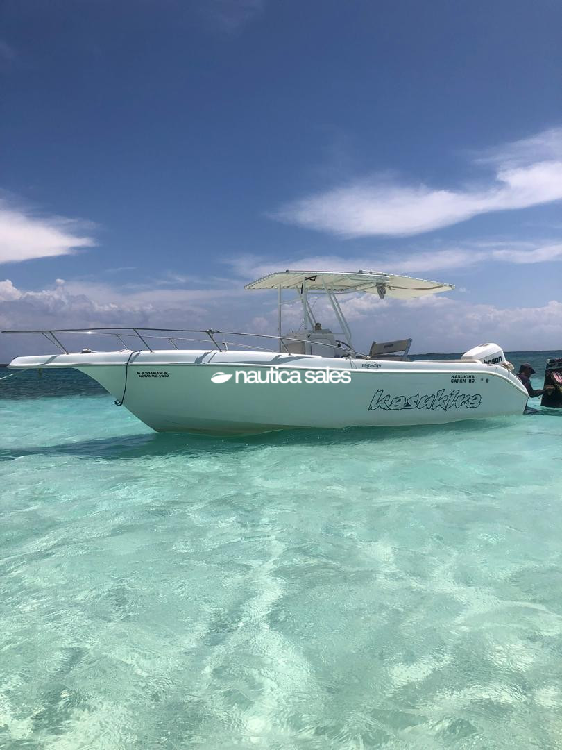 Lancha en venta: Kasukira