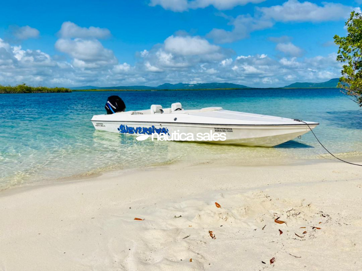 Lancha en venta: Subversiva